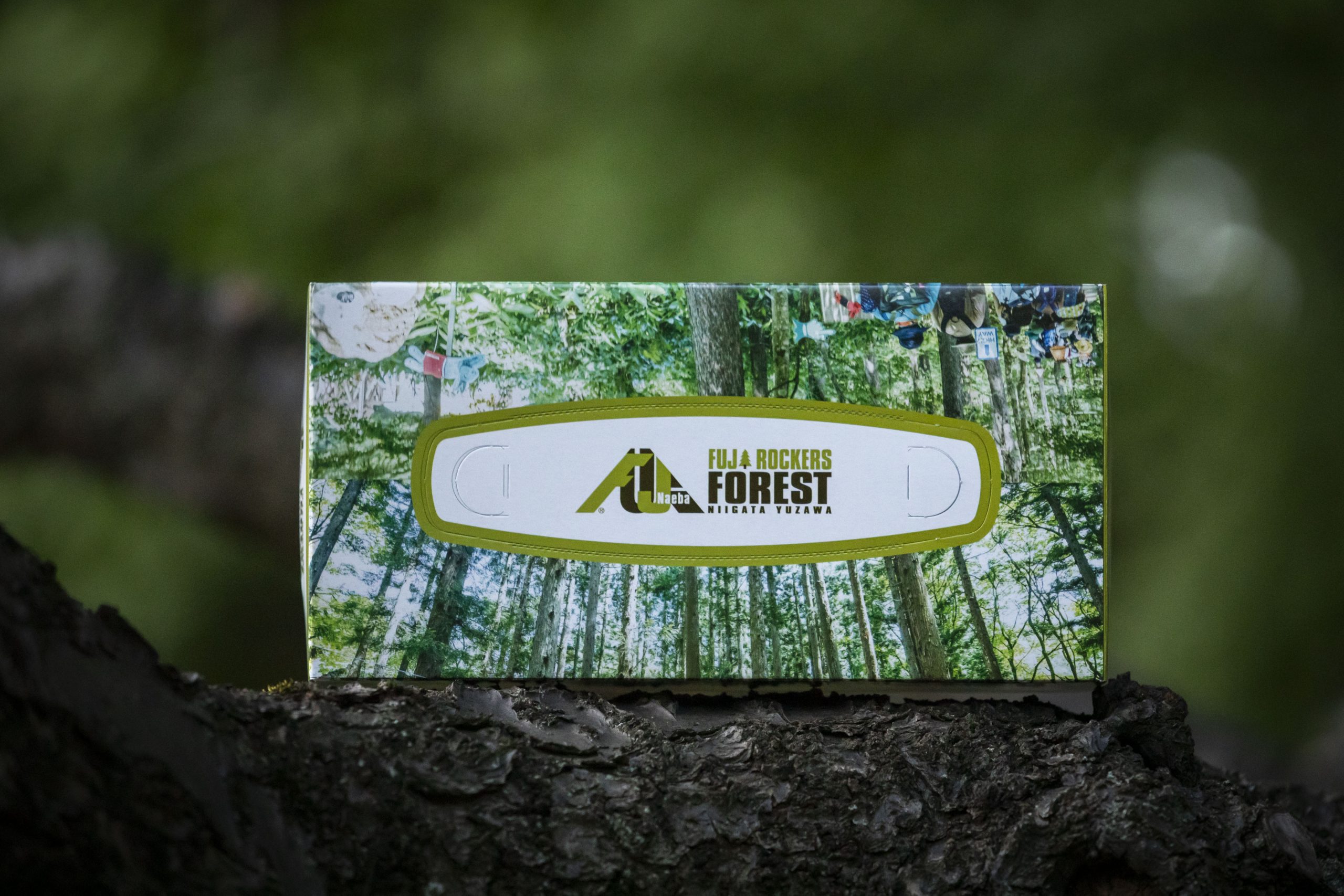 フジロックの森からティッシュペーパー作りました！ - フジロックの森