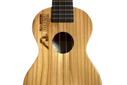 森のウクレレが湯沢町ふるさと納税の返礼品になりました！